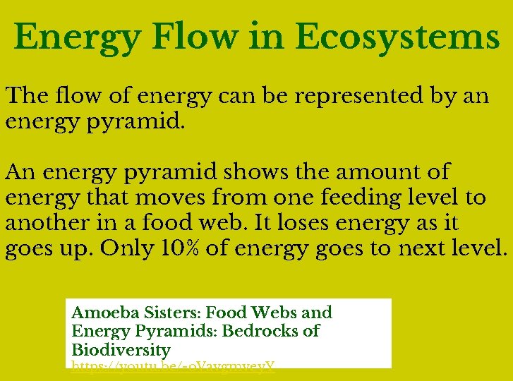 Energy Flow in Ecosystems The flow of energy can be represented by an energy