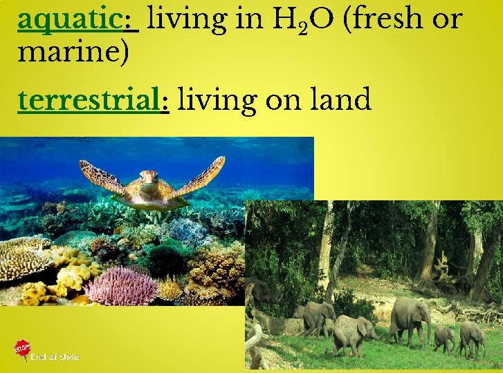 aquatic: living in H 2 O (fresh or marine) terrestrial: living on land 