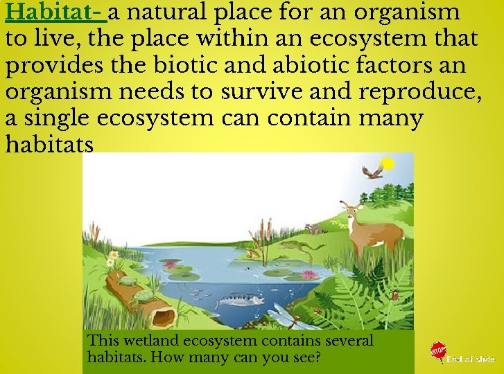 Habitat- a natural place for an organism to live, the place within an ecosystem