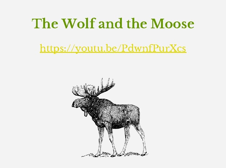 The Wolf and the Moose https: //youtu. be/Pdwnf. Pur. Xcs 