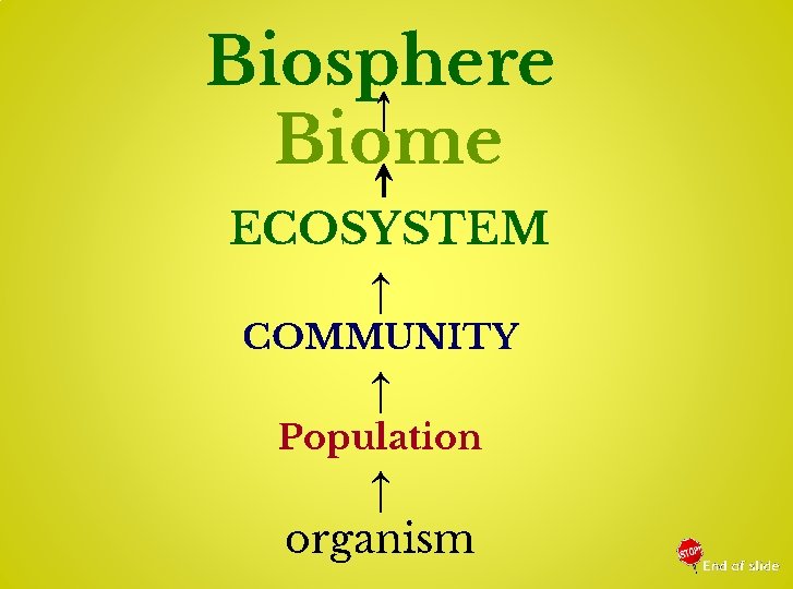 Biosphere Biome ECOSYSTEM ↑ COMMUNITY ↑ Population ↑ organism 