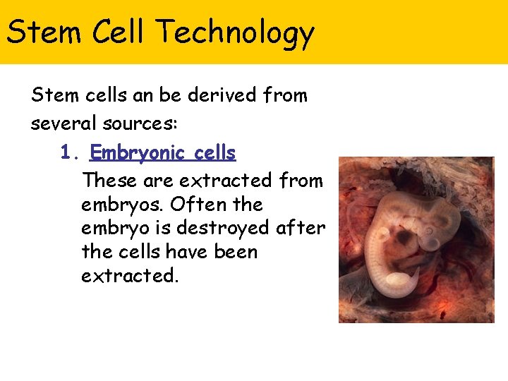 Stem Cell Technology Stem cells an be derived from several sources: 1. Embryonic cells
