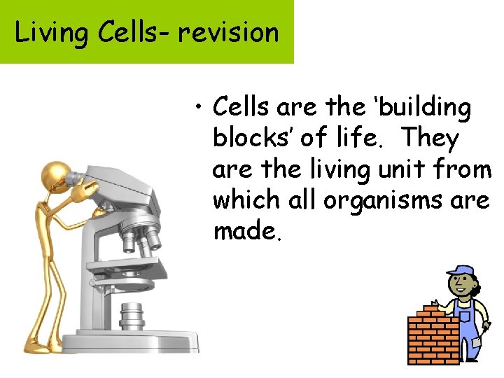 Living Cells- revision • Cells are the ‘building blocks’ of life. They are the