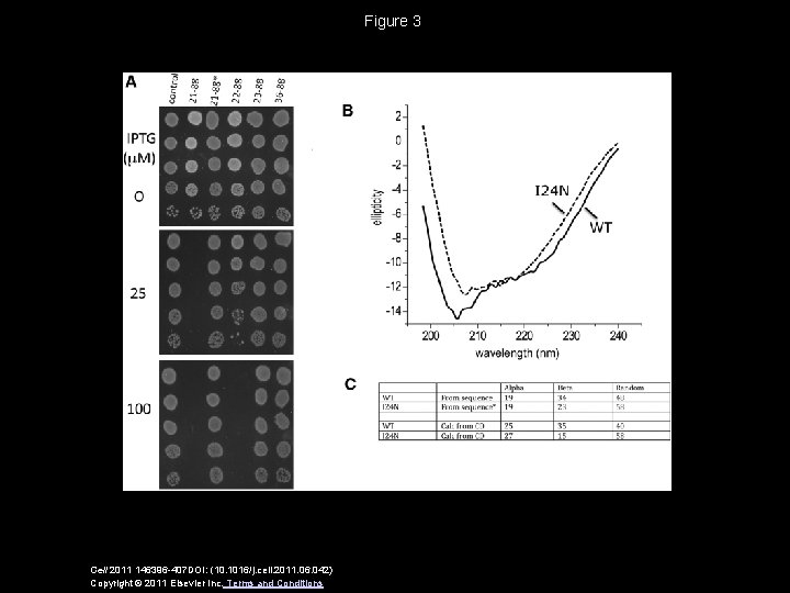 Figure 3 Cell 2011 146396 -407 DOI: (10. 1016/j. cell. 2011. 06. 042) Copyright