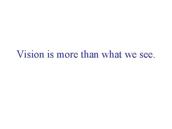 Vision is more than what we see. 