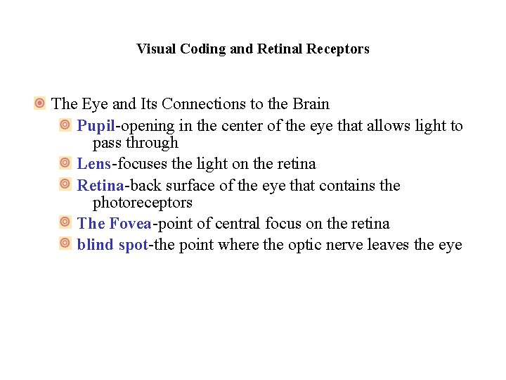 Visual Coding and Retinal Receptors The Eye and Its Connections to the Brain Pupil-opening