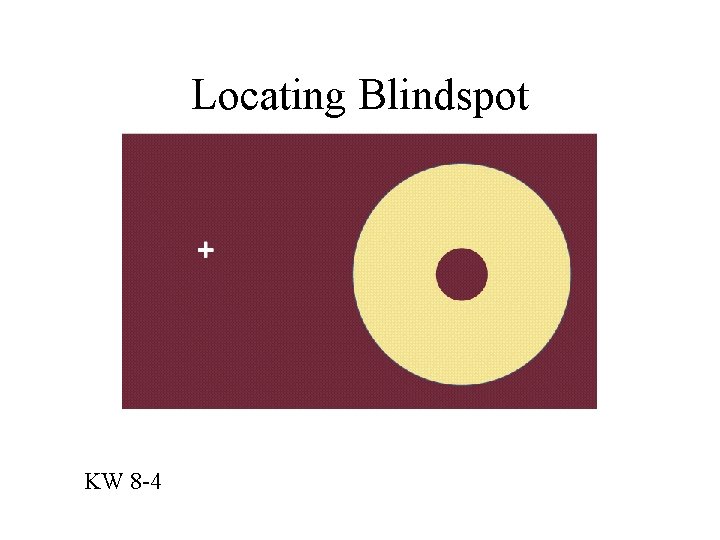 Locating Blindspot KW 8 -4 