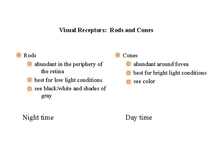 Visual Receptors: Rods and Cones Rods abundant in the periphery of the retina best