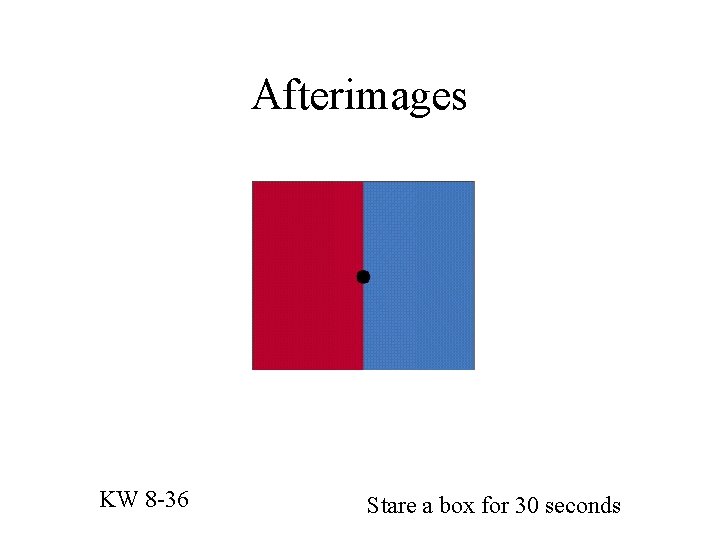 Afterimages KW 8 -36 Stare a box for 30 seconds 