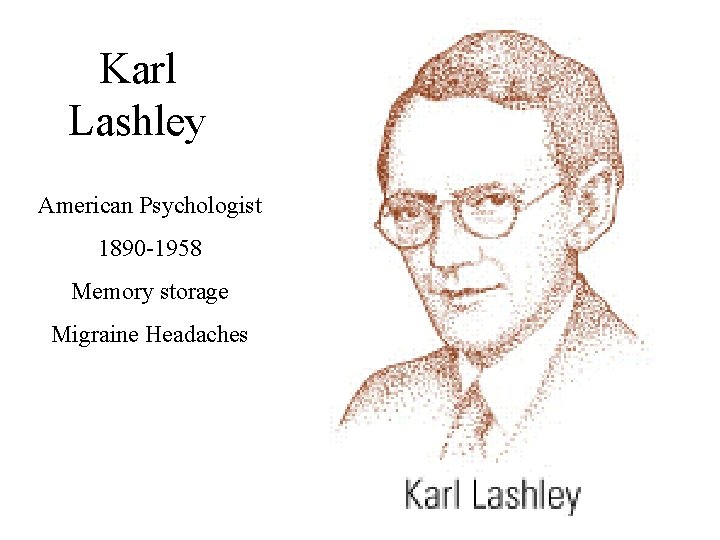 Karl Lashley American Psychologist 1890 -1958 Memory storage Migraine Headaches 