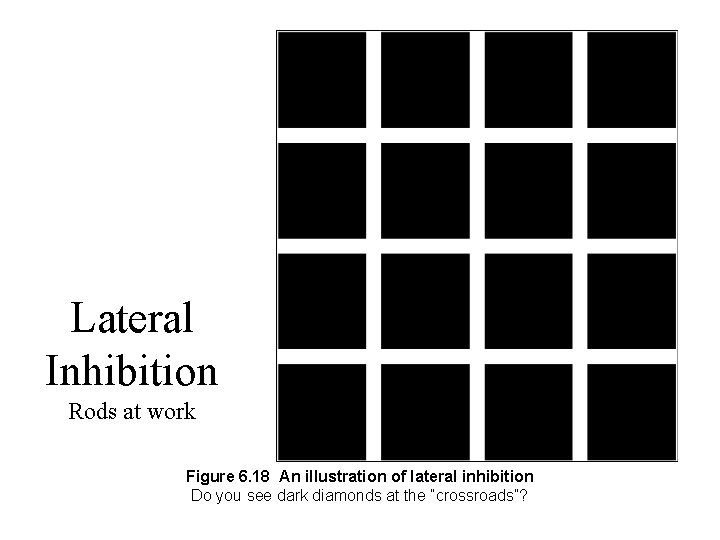 Lateral Inhibition Rods at work Figure 6. 18 An illustration of lateral inhibition Do