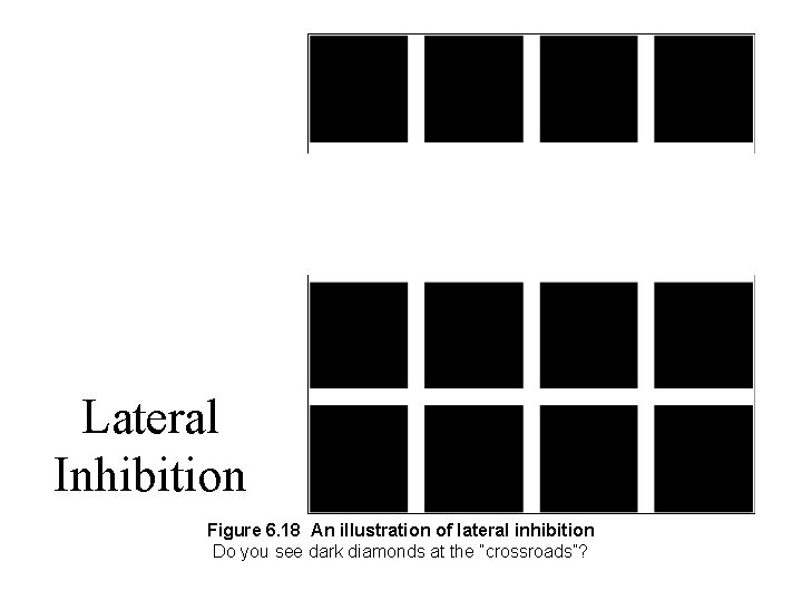 Lateral Inhibition Figure 6. 18 An illustration of lateral inhibition Do you see dark