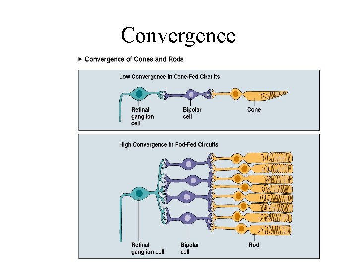 Convergence 