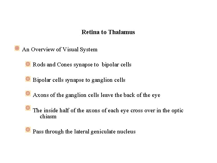 Retina to Thalamus An Overview of Visual System Rods and Cones synapse to bipolar