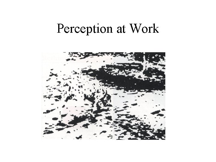 Perception at Work 