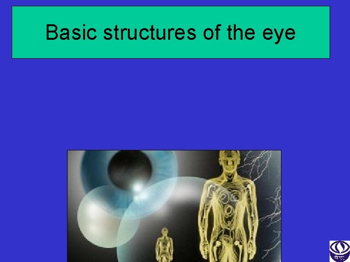 Basic structures of the eye 