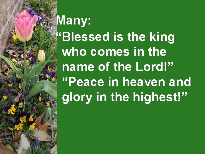  Many: “Blessed is the king who comes in the name of the Lord!”