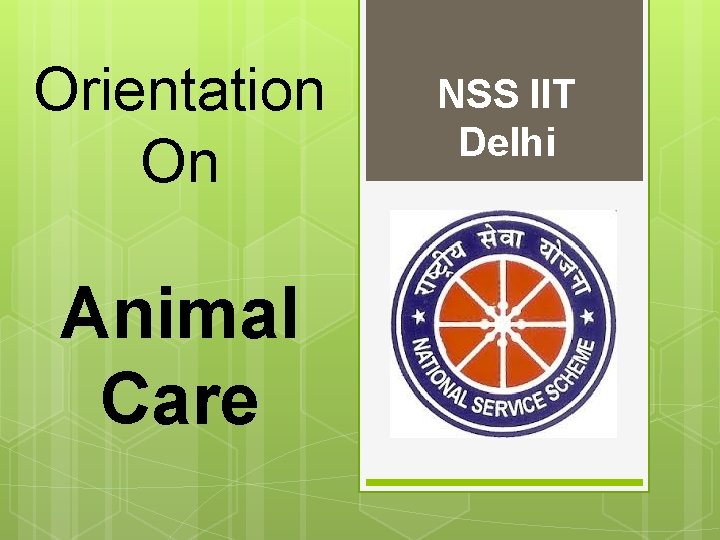 Orientation On Animal Care NSS IIT Delhi 