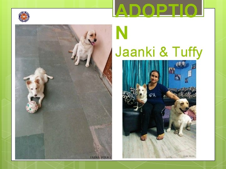 ADOPTIO N Jaanki & Tuffy 