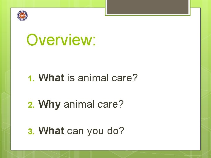 Overview: 1. What is animal care? 2. Why animal care? 3. What can you