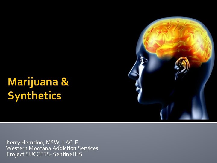 Marijuana & Synthetics Kerry Herndon, MSW, LAC-E Western Montana Addiction Services Project SUCCESS- Sentinel