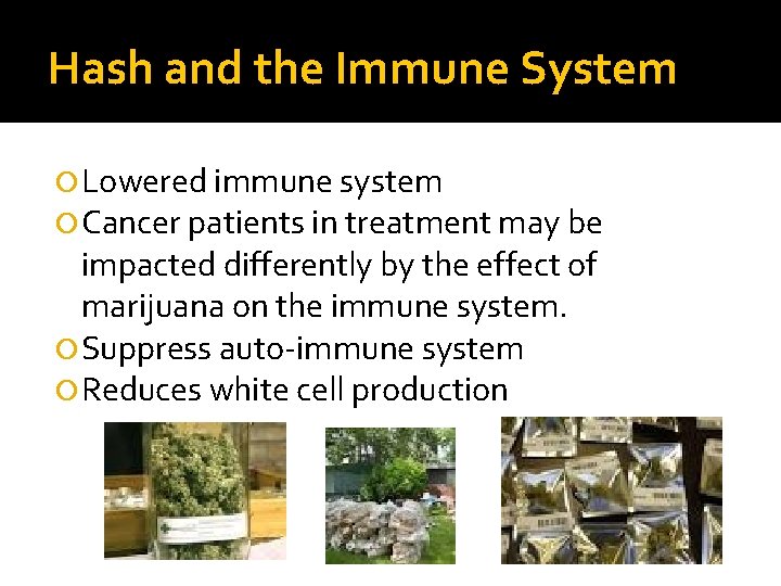 Hash and the Immune System Lowered immune system Cancer patients in treatment may be
