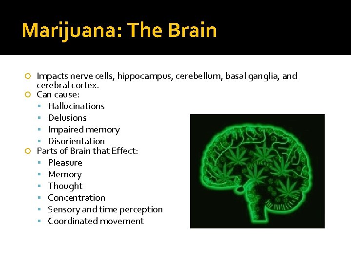 Marijuana: The Brain Impacts nerve cells, hippocampus, cerebellum, basal ganglia, and cerebral cortex. Can