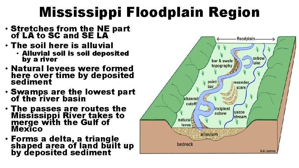 Mississippi Floodplain Region • Stretches from the NE part of LA to SC and