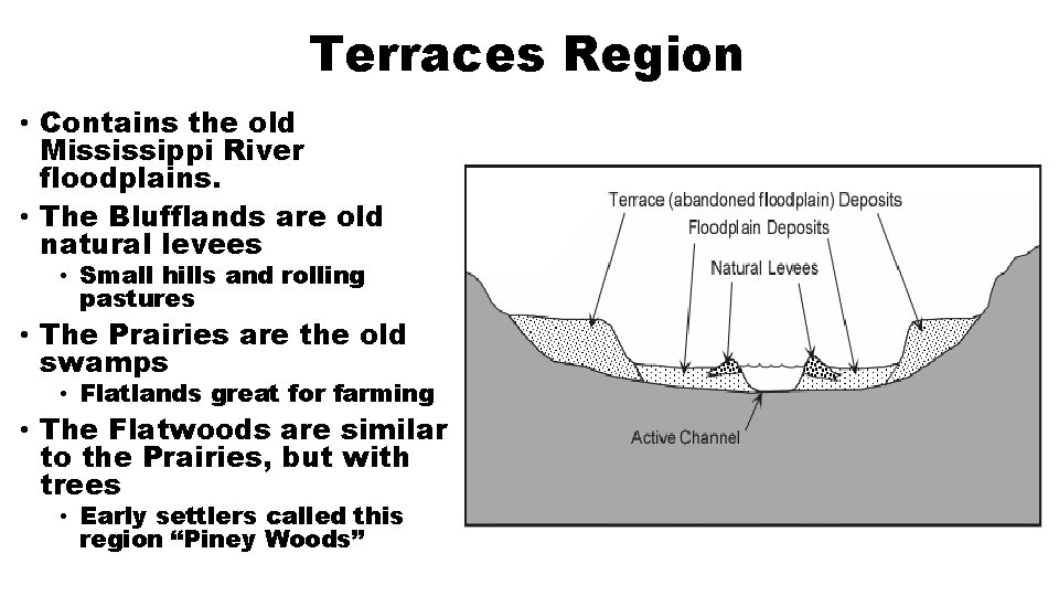 Terraces Region • Contains the old Mississippi River floodplains. • The Blufflands are old