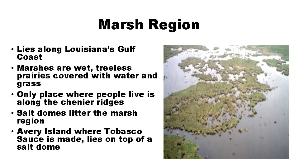 Marsh Region • Lies along Louisiana’s Gulf Coast • Marshes are wet, treeless prairies