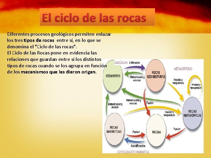 El ciclo de las rocas Diferentes procesos geológicos permiten enlazar los tres tipos de