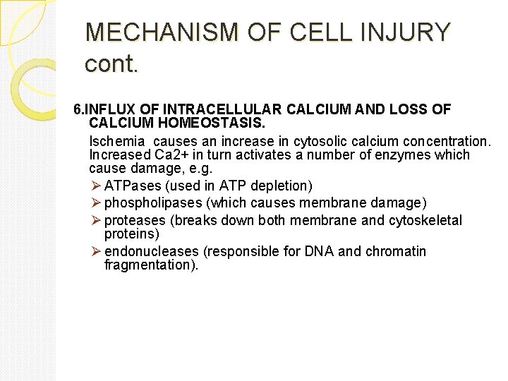 MECHANISM OF CELL INJURY cont. 6. INFLUX OF INTRACELLULAR CALCIUM AND LOSS OF CALCIUM