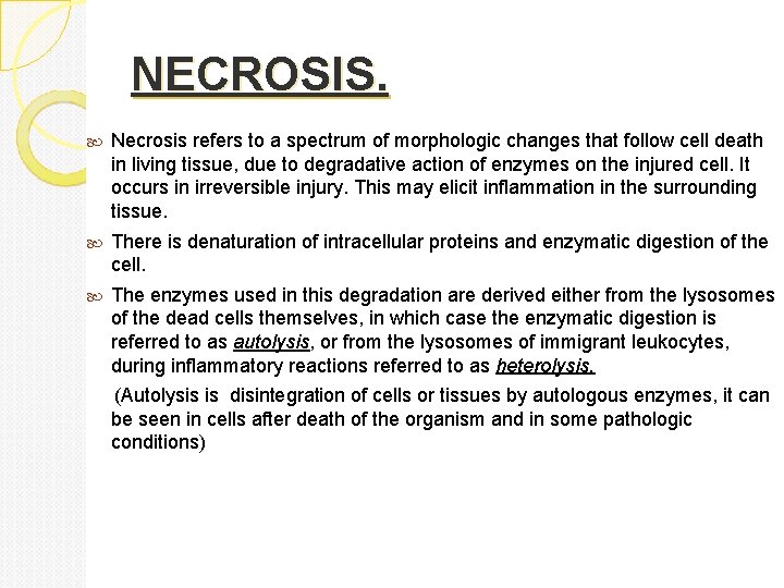 NECROSIS. Necrosis refers to a spectrum of morphologic changes that follow cell death in