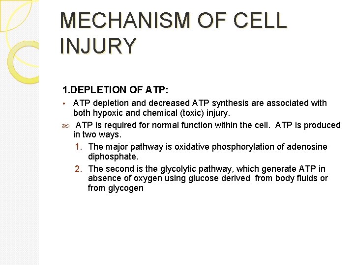 MECHANISM OF CELL INJURY 1. DEPLETION OF ATP: ATP depletion and decreased ATP synthesis