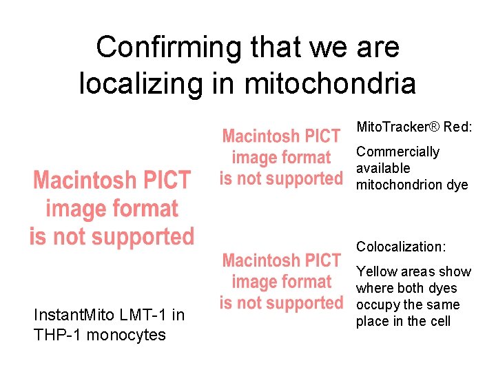 Confirming that we are localizing in mitochondria Mito. Tracker® Red: Commercially available mitochondrion dye