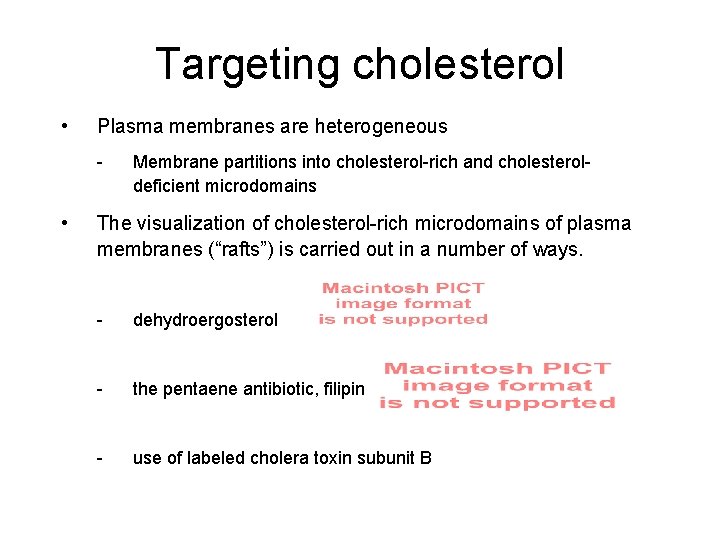 Targeting cholesterol • Plasma membranes are heterogeneous - • Membrane partitions into cholesterol-rich and