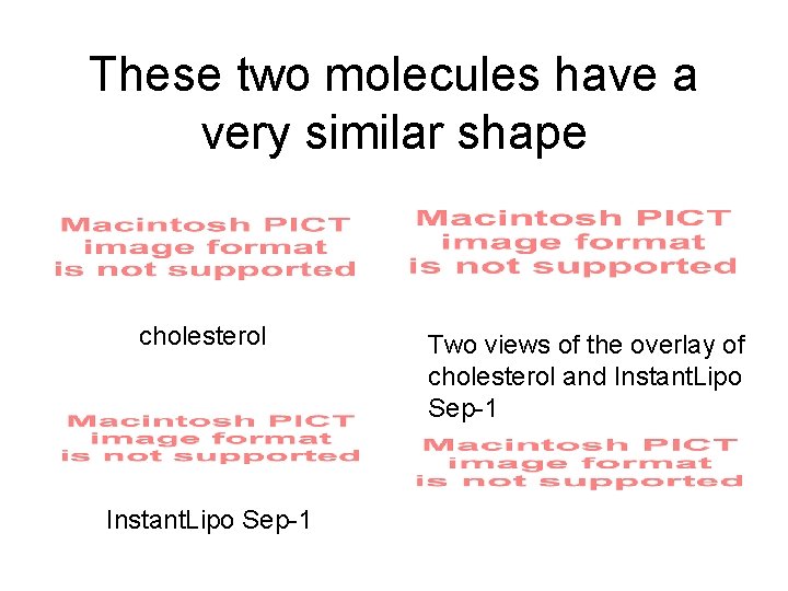 These two molecules have a very similar shape cholesterol Instant. Lipo Sep-1 Two views