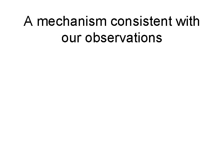 A mechanism consistent with our observations 