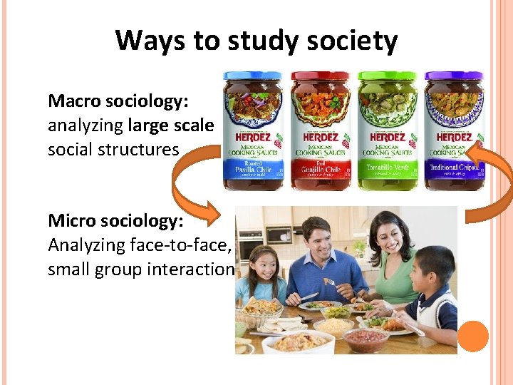 Ways to study society Macro sociology: analyzing large scale social structures Micro sociology: Analyzing Ways to study society Macro sociology: analyzing large scale social structures Micro sociology: Analyzing