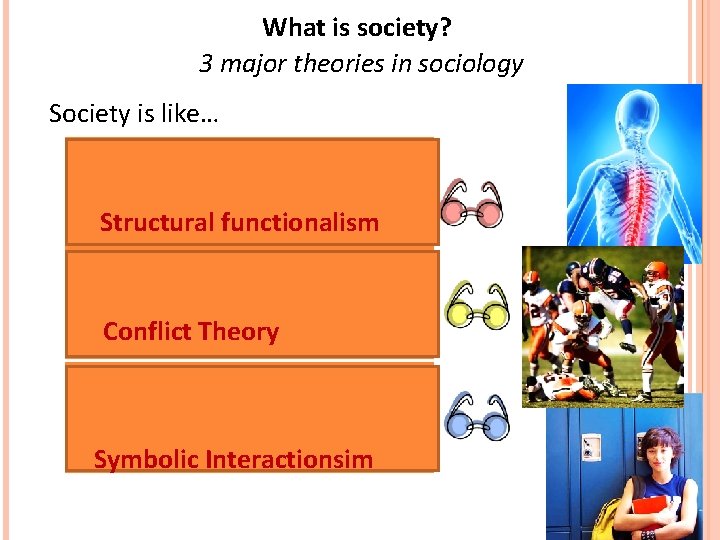 What is society? 3 major theories in sociology Society is like… 1) the human What is society? 3 major theories in sociology Society is like… 1) the human