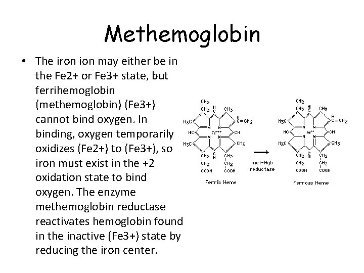 Methemoglobin • The iron ion may either be in the Fe 2+ or Fe