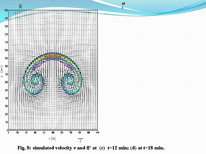 (d ) Fig. 8: simulated velocity v and ’ at (c) t=12 min; (d)