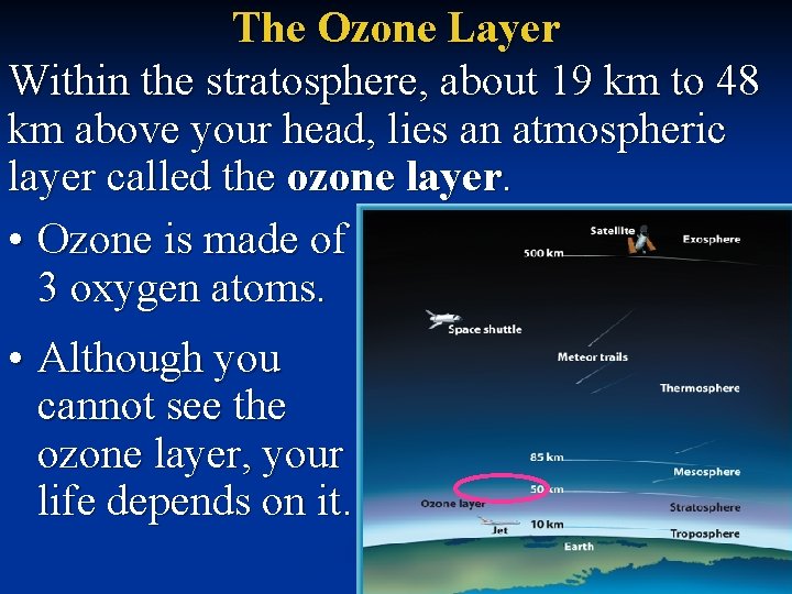 The Ozone Layer Within the stratosphere, about 19 km to 48 km above your