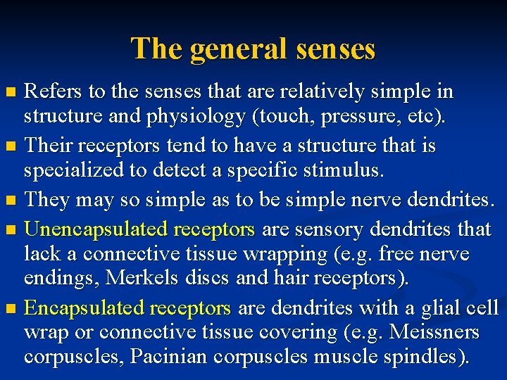 The general senses Refers to the senses that are relatively simple in structure and