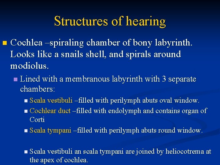 Structures of hearing n Cochlea –spiraling chamber of bony labyrinth. Looks like a snails