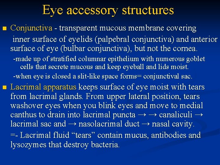 Eye accessory structures n Conjunctiva - transparent mucous membrane covering inner surface of eyelids