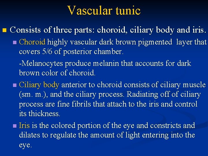 Vascular tunic n Consists of three parts: choroid, ciliary body and iris. Choroid highly