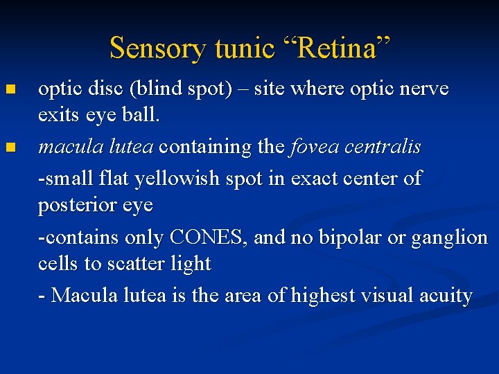 Sensory tunic “Retina” n n optic disc (blind spot) – site where optic nerve