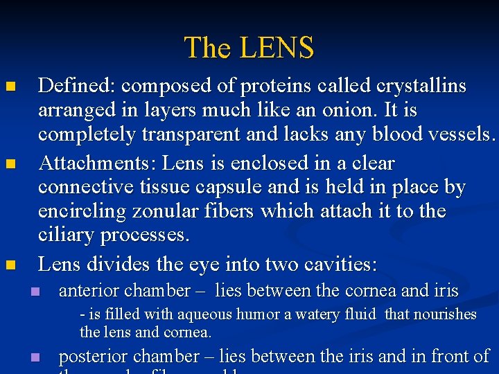The LENS n n n Defined: composed of proteins called crystallins arranged in layers