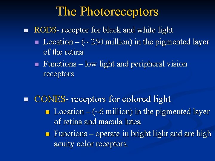 The Photoreceptors n RODS- receptor for black and white light n Location – (~